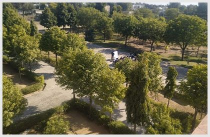 The green campus of Gyanodaya Public School